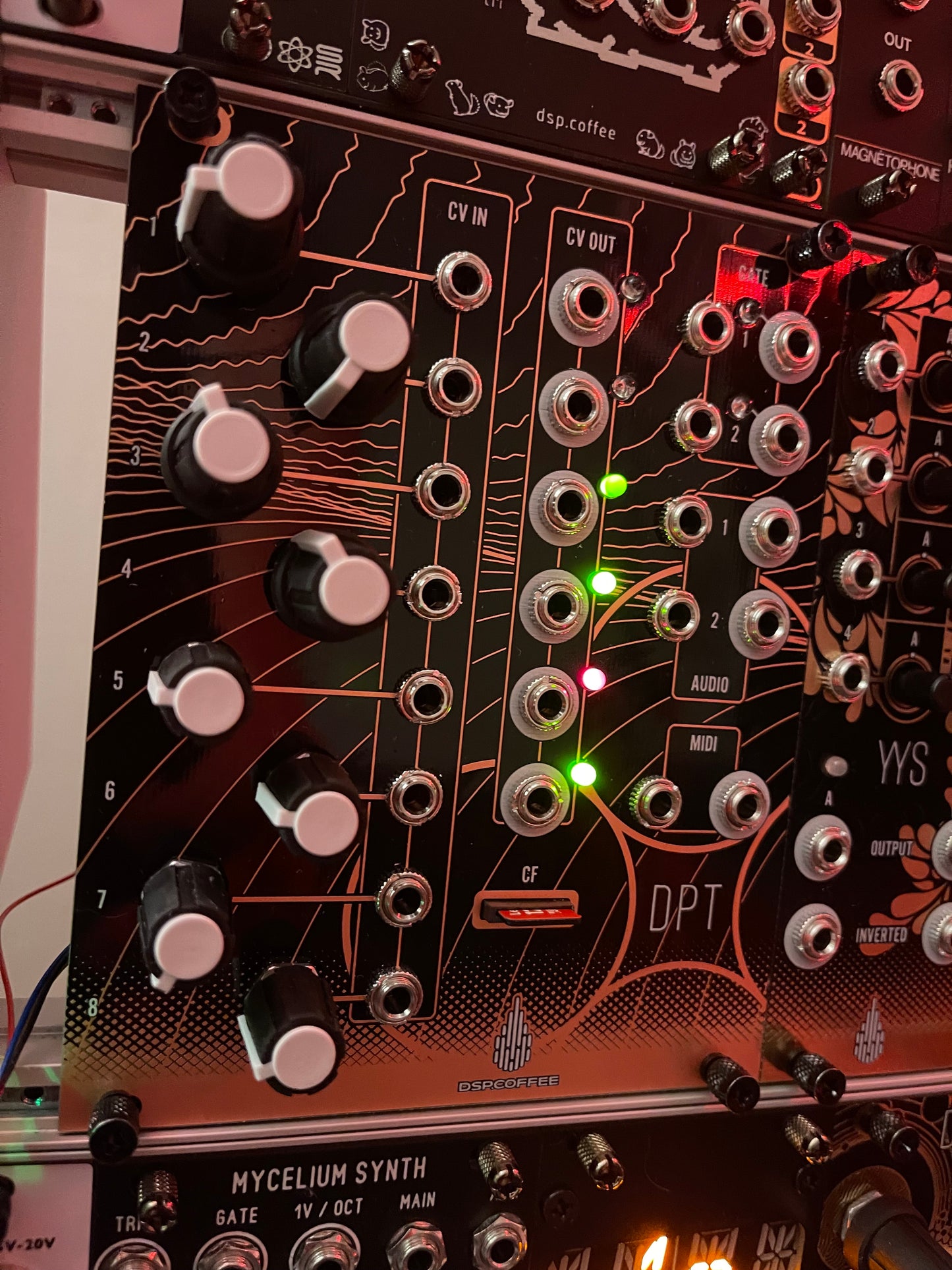 DPT Multifunction Electron Temple (Daisy Submodule DSP Platform)